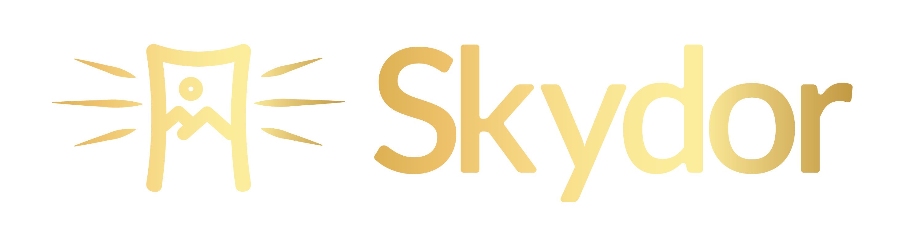 Logo Skydor